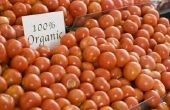 Belangrijke elementen van tomaten