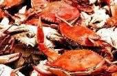 How to Cook harde Shell krabben