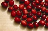 Cranberry gezondheidsvoordelen