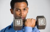 Wat spieren compenseren halter longe werk?