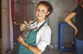 Hoe om vrijwilligerswerk met dieren