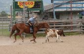 Rodeo carrières