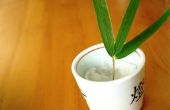 Hoe om te herstellen van Bamboe vloeren