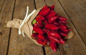 Wat soorten pepers zijn vaak gebruikt in Italiaanse keuken?