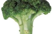 Kan ik de Broccoli stengel eten?