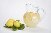 How to Build een draagbare Lemonade Stand