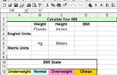Hoe Bereken BMI in Excel