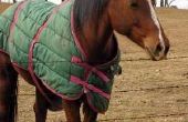 Hoe meet je een paard voor deken grootte