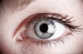 Wat is de vezelige tuniek van het oog?