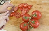 Het gebruik van een voedsel molen voor tomaten