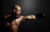 Loon- & voordelen voor een professionele bokser