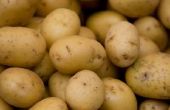 Aardappelen die het goed in Val & Winter doen