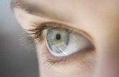 De Eye structuren dat licht passeert door als het reist van buiten het lichaam aan het netvlies