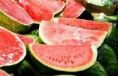 Middelpunt ideeën met behulp van een watermeloen