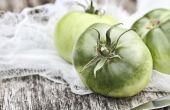 Hoe groene tomaten rijpen