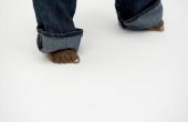 Hoe te te beschermen van de bodem van uw broek manchet