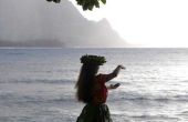 Hawaiian gras rok geschiedenis
