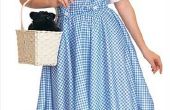 Hoe te kleden als Dorothy voor Halloween