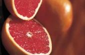 12 Grapefruit dieet dagmenu