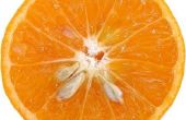 Eigenschappen van Oranje zaad Extract