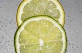 Hoe bewaart u citroenen nadat ze snijden