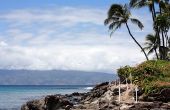 Lijst van Community Colleges in Hawaï