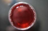Hoe te doen een Cranberry sap Detox