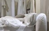 Ideeën voor verf in een hoofdslaapkamer met witte meubels