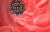 Witte & rode bloedcellen in de Urine