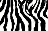 Hoe te schilderen van uw nagels Zebra Print